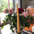 Tree House Candles Dinner Taper Candle